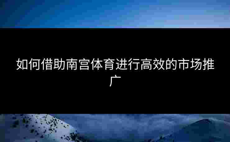 如何借助南宫体育进行高效的市场推广