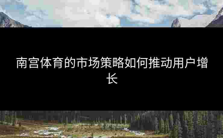 南宫体育的市场策略如何推动用户增长