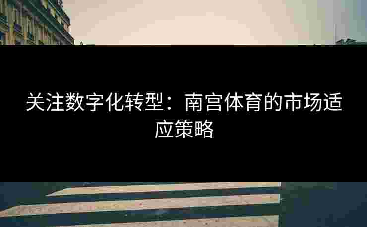 关注数字化转型：南宫体育的市场适应策略