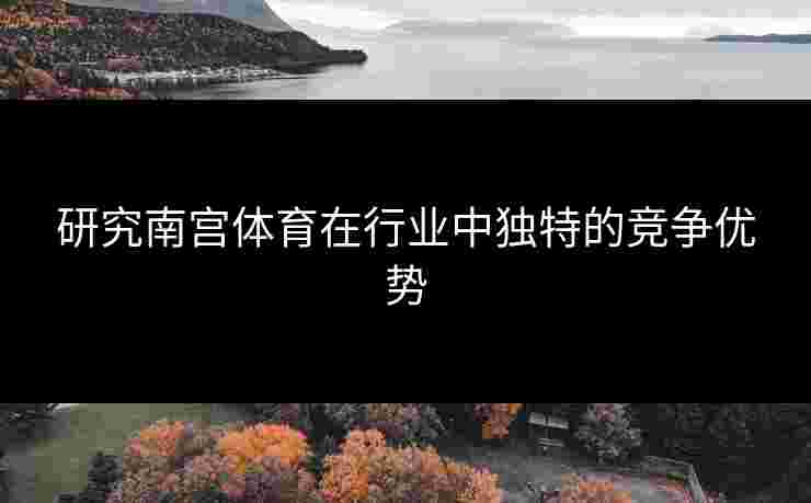 研究南宫体育在行业中独特的竞争优势