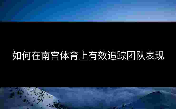 如何在南宫体育上有效追踪团队表现