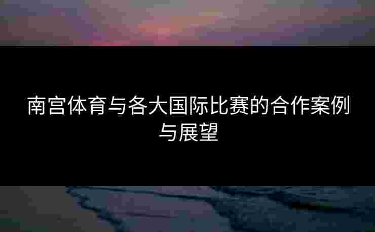 南宫体育与各大国际比赛的合作案例与展望